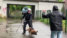 Polizist hält Polizeihund zurück, de einen Mann mit erhobenen Händen anbellt